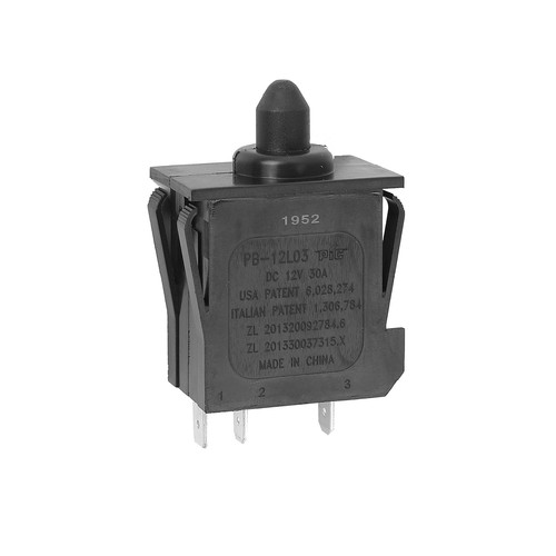 Plunger type accelerator foot - plunger,